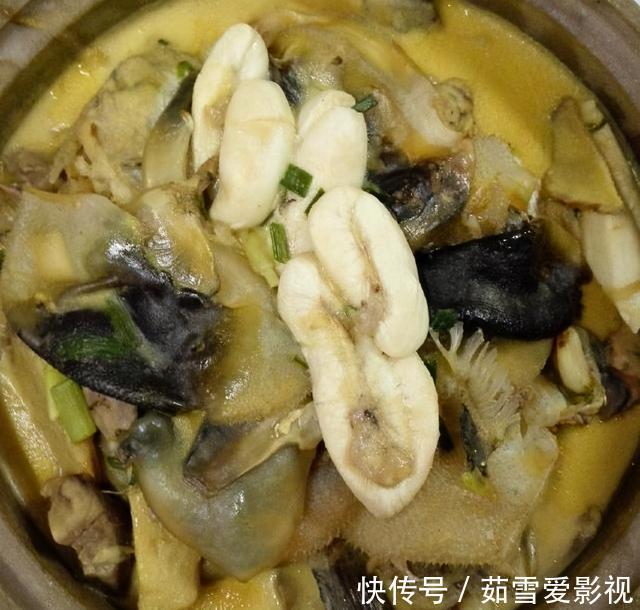 剧毒|珠江出现大量河豚,半天能钓几十条,有胆大者想带回家吃,能行吗