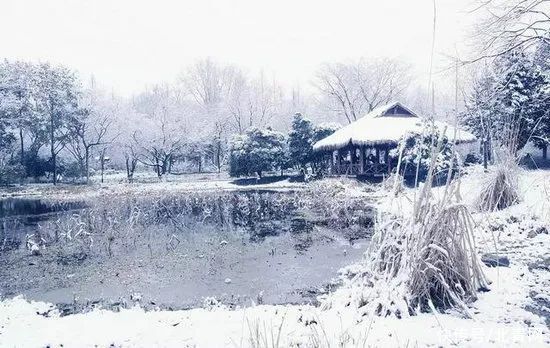 各地雪景美如仙境 欢迎来到神秘的“童话世界”