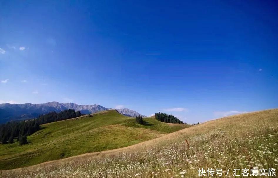 草原|这3个旅行地，今年夏天一定要去自驾一次！