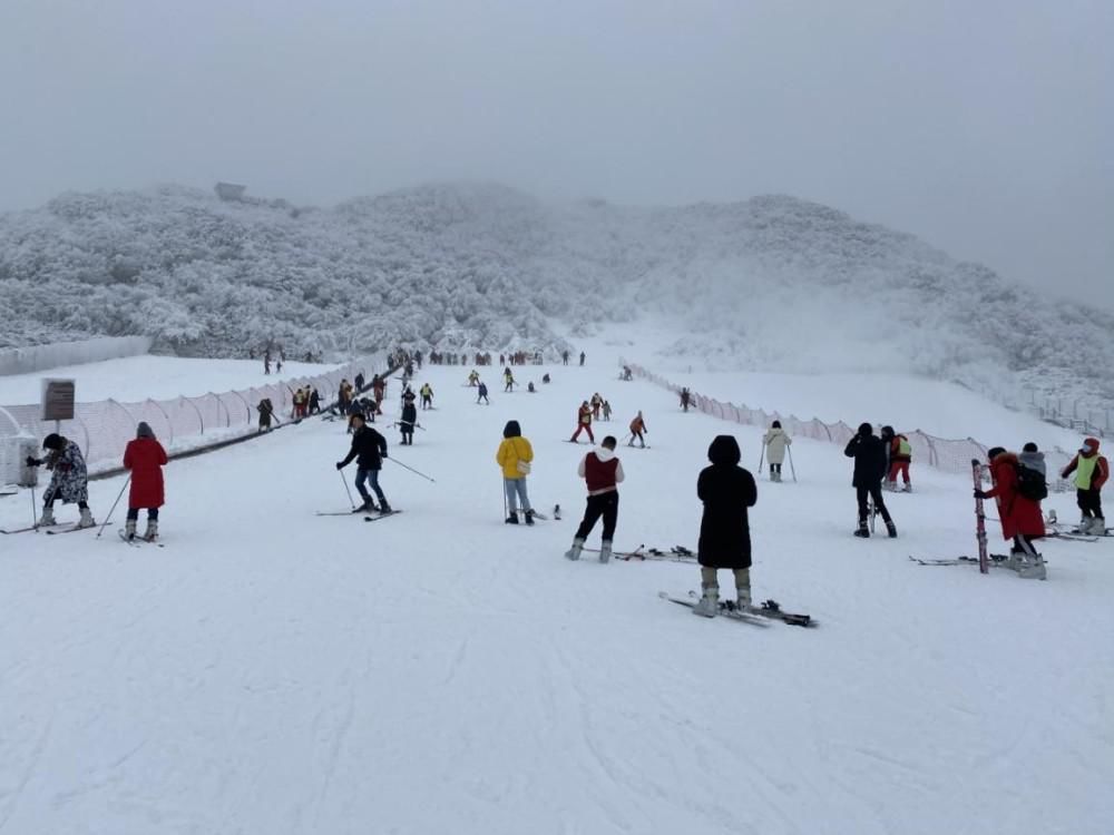 踏雪|金佛山再降大雪，游客踏雪出游，畅享冰雪温泉之乐