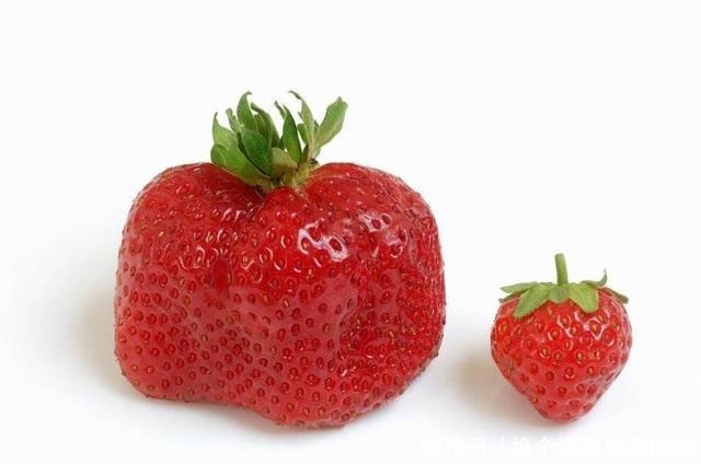  小编|买草莓时，看到这“4种”千万不要买，老板我从来不让家人吃