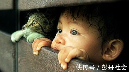 幼儿园|幼儿园里被欺负的往往是4种孩子,家长别不当回事