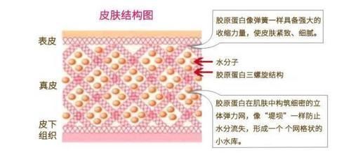 答案 没穿宇航服,意外暴露太空会怎样1982年的一次事故揭晓答案