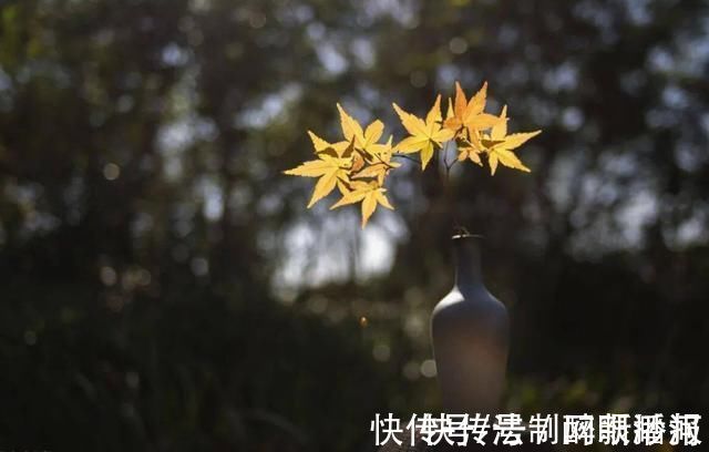 释文珦#诗僧笔下的秋天,不仅有最美的秋色,还有浓浓禅意,令人回味无穷