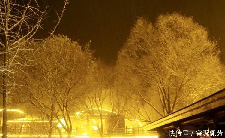 雪景|瑞雪醉心南山夜，游客连夜入住九如山欣赏雪景