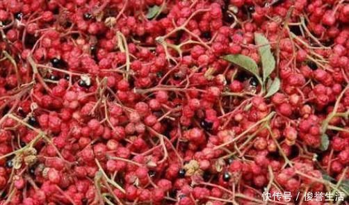 花椒|花椒搭配一物泡水喝,祛湿排毒,杀菌消炎,皮肤更加细腻!