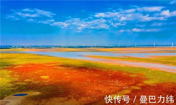 吉祥三宝|水韵盐城好秋色！黄海湿地“吉祥三宝”邀您来赏秋