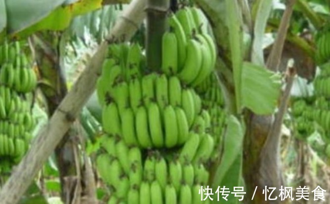 女性|女性40不想老太快，常吃一果，呵护肠胃，排毒养颜，肌肤更年轻