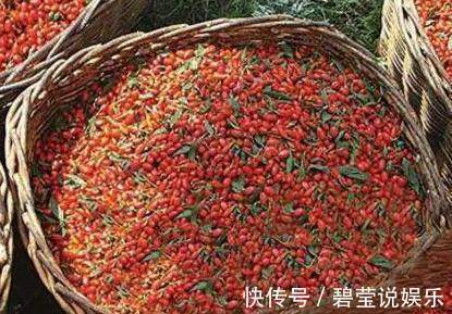 热水|用枸杞泡水时，到底用冷水还是热水原来一直泡错了，难怪没效果