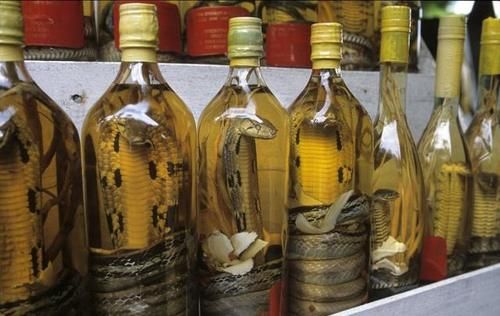  时间|药酒泡的越久越好？别让无知害了自己