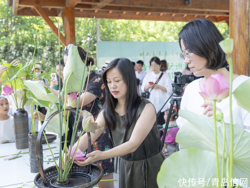 时尚|时尚青岛花漾生活 首届荷花节亮相青岛世博园