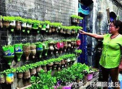 空油桶别扔了，剪一刀在阳台种菜，不用再买菜，一家人1年吃不完