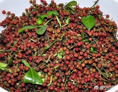 椒麻鸡怎么做好吃，哪里可以学到技术？