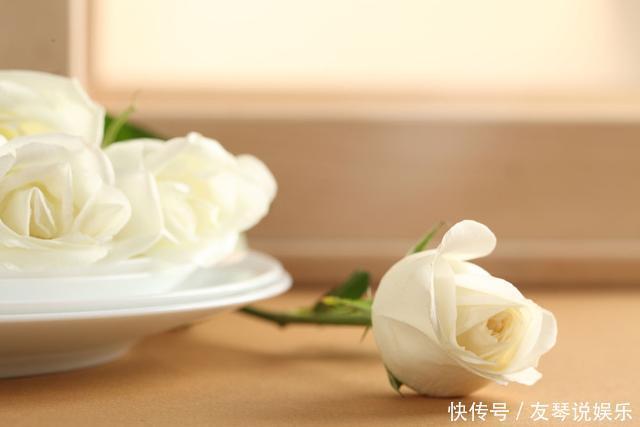 人生8不交,8不能,8不要,8不做,8不比,8不气,8不完