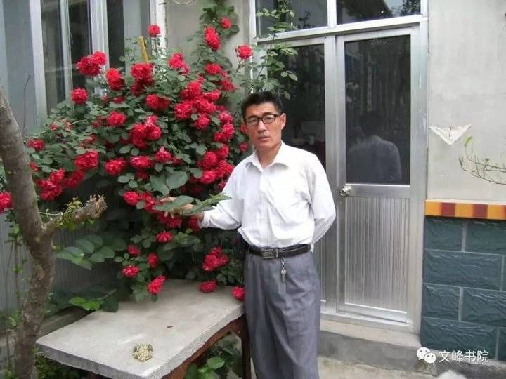  善财|鸳鸯柏的传说