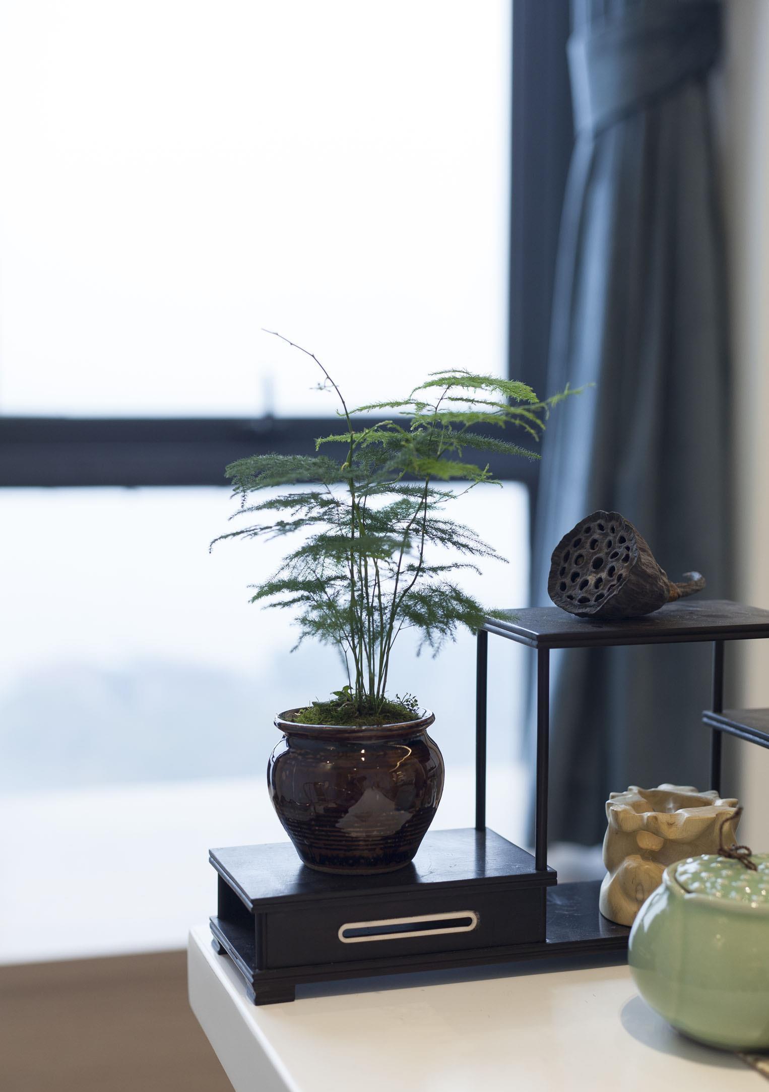 5种“喜阴花”,不要长时间晒太阳,屋外若有,抓紧搬进屋!