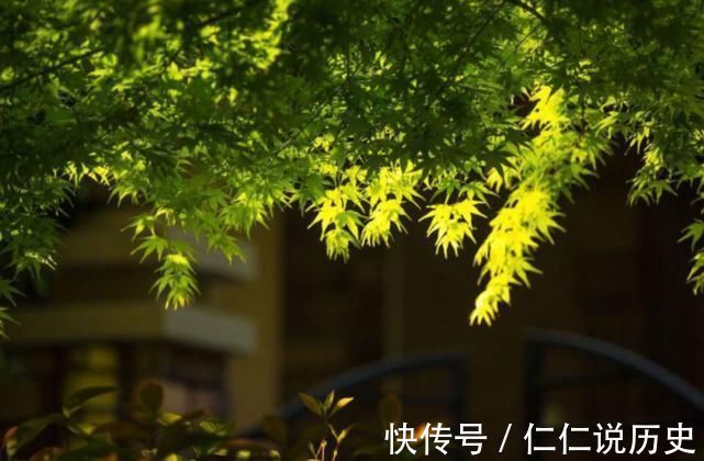 美好的时光!教人知道已春深,十首春深的诗词,去珍惜春天的每一寸时光!