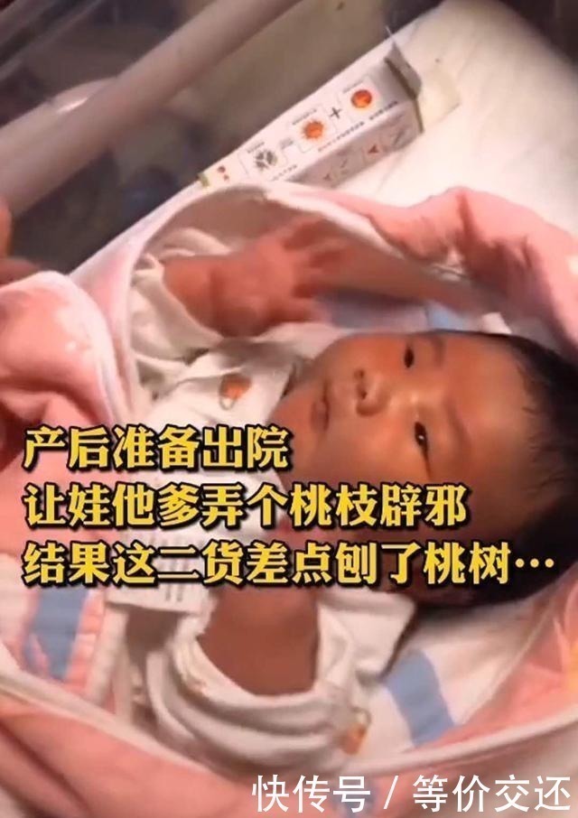 金花生|“最憨厚爸爸”火了,扛着“桃枝”来接宝宝,网友:这是亲爹