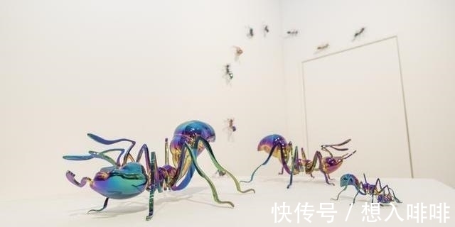 四维空间&4维空间被证实存在,人进去会变什么样?刘慈欣猜想令人细思极恐