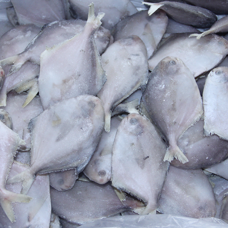 海鱼|喜欢吃鱼,推荐买这4种,目前不能人工养殖,肉质新鲜营养,好吃