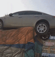 |搞笑GIF:看仔细了,我只教一遍,剩下的你们自己看着练