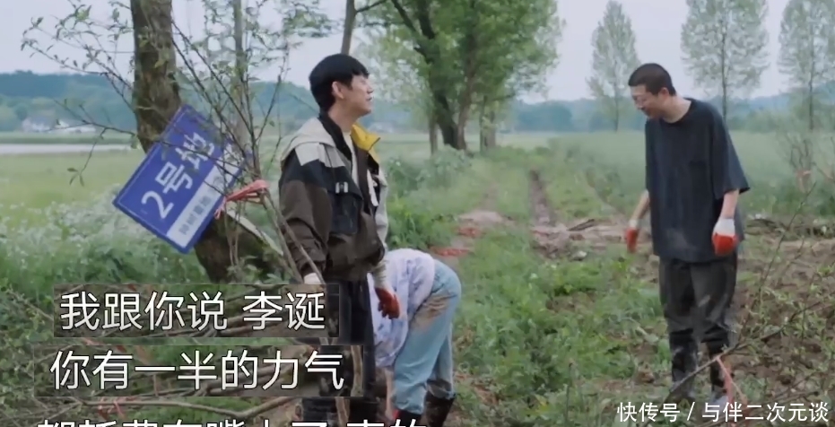 制造|陈赫和李诞怎么了,努力制造节目效果,反而引起何炅与黄磊的反感