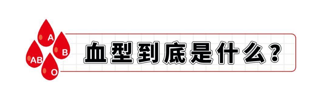 O血型招蚊子、A血型最温柔，血型这么神奇？