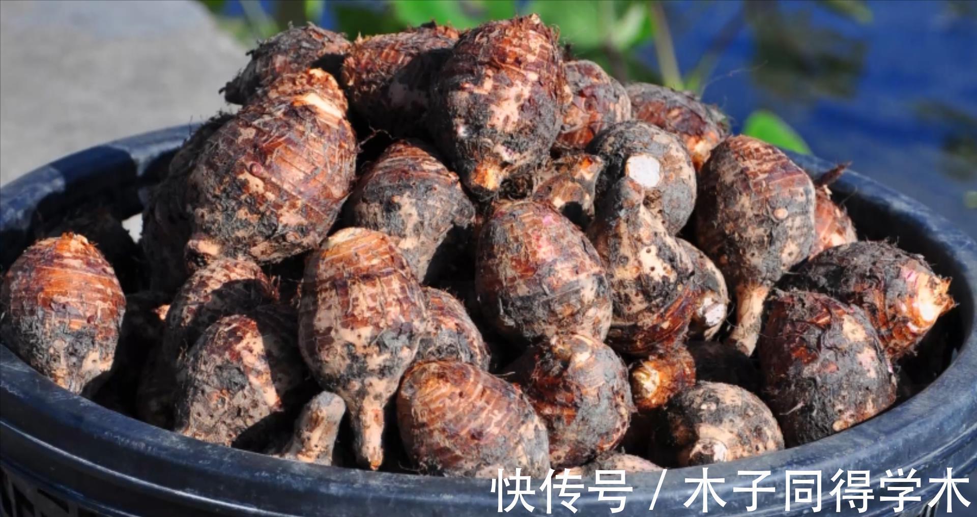 蔬菜|立秋过后,7种蔬菜要多吃,每一种都对人体大有好处,对抗秋燥