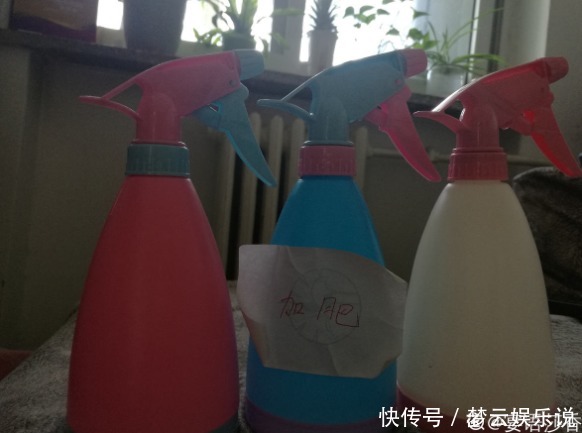 大蒜养花好处多,杀虫杀菌,花长得快、不烂根!