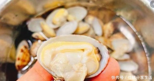 吐沙|洗花蛤万万不可只加盐,渔民教你土方法,花蛤疯狂吐沙,很实用