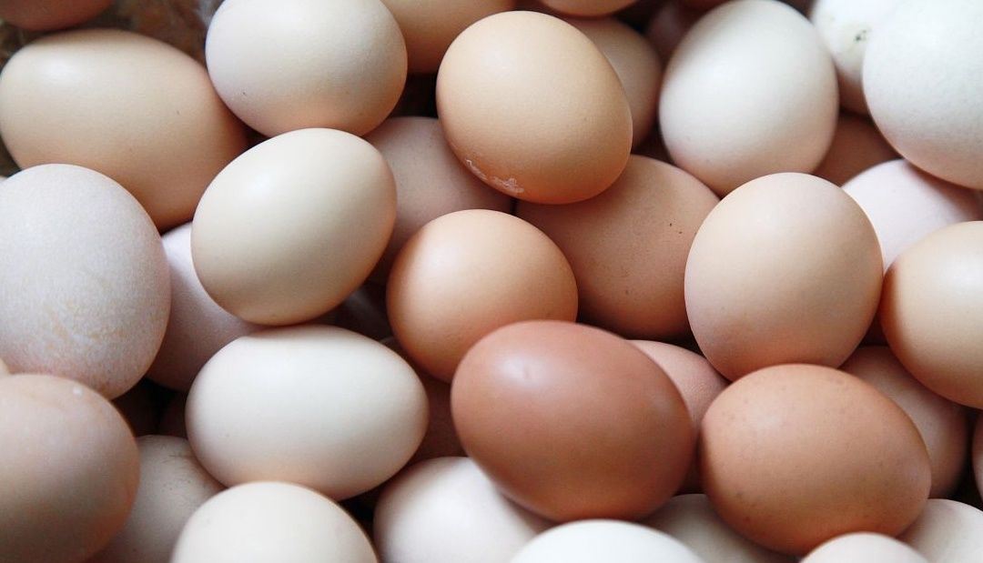 红茶叶|煮茶叶蛋，放哪些“调料”才好吃？教你正确做法，比你买的要美味