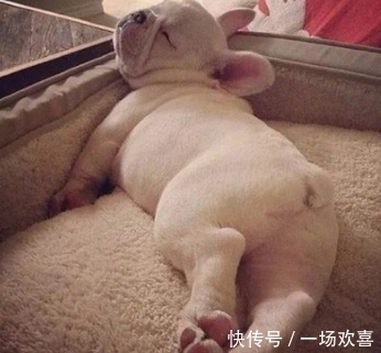 15个冷知识,有趣的知识又增长了,你吃过香蕉皮吗?