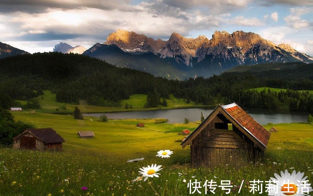 文案!推荐5本都市小说,纯粹种田文,没有修仙等乱七八糟的,悠闲生活