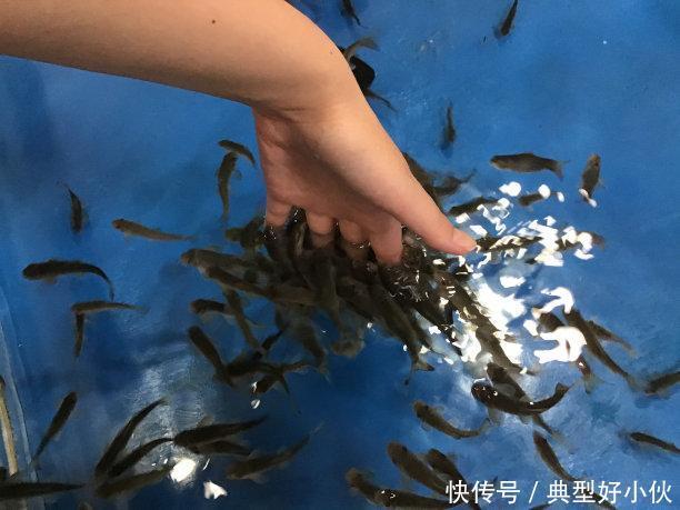 常用|睡前常用生姜泡脚,2天泡一次,失眠等这5个问题或能解决