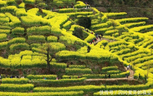 沿着高速看中国｜景婺黄高速：穿越四季如画“最美乡村”