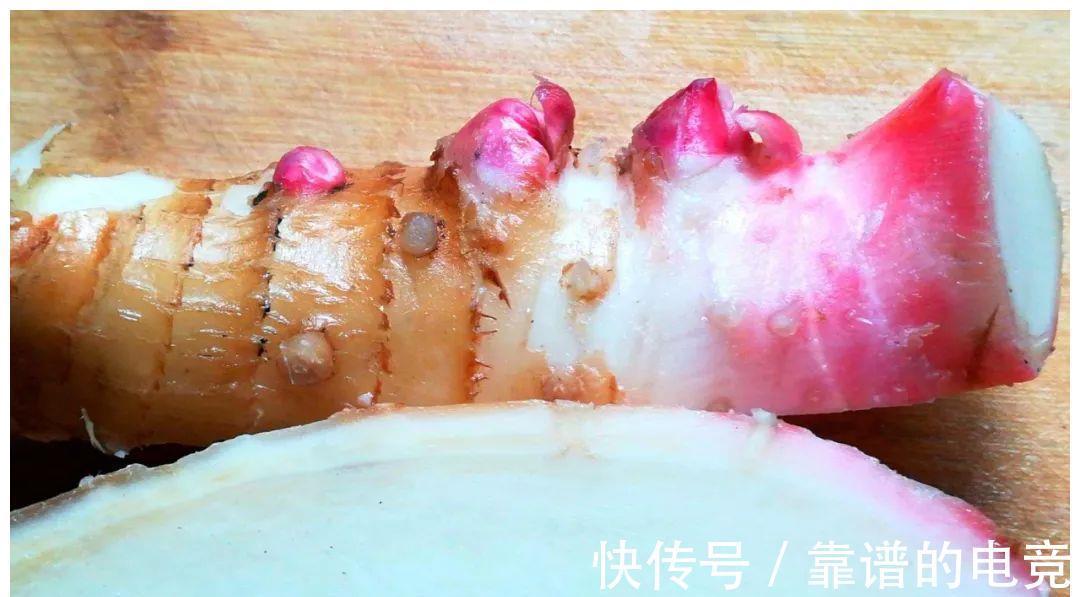 长得像生姜,吃起来像芋头,用来炖肉特别香,你家乡或许有
