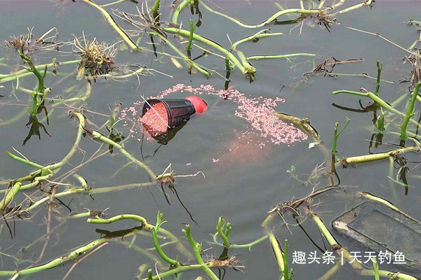 窝点|冬季钓鲫鱼，打窝一定不能将就，多用上几招，持久留鱼避免散窝