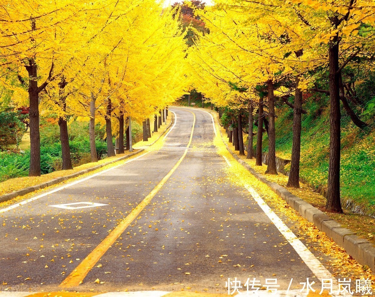 白雪诗@止于唇齿,匿于流年,谁的岁月,弹指刹那,谁的沧桑,掩去芳华