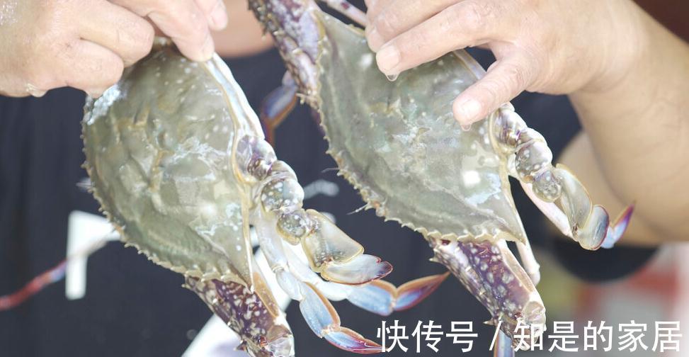 渔民|入秋买梭子蟹:个头大未必好,老渔民教你绝招,个个“顶盖肥”