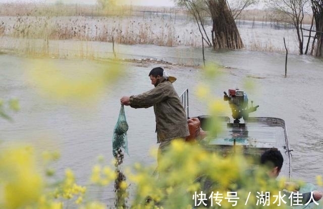 鄱阳湖|中国四大淡水湖现状：鄱阳湖面临消失，基本都呈现水污染