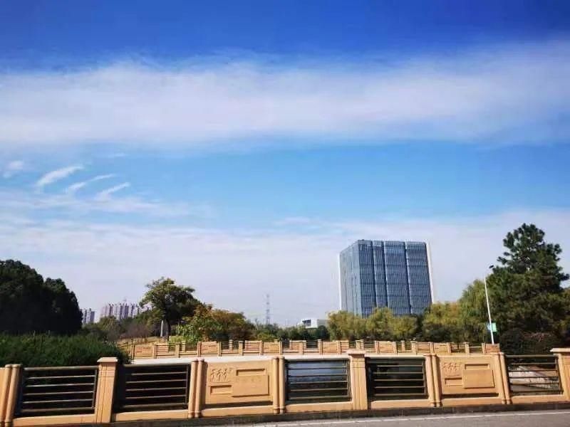 古城|春到同济!太(you)爱(fu)了(li)!