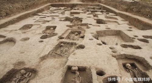 这个盗墓贼,盗墓无数却不是为了钱,直到他遇见了一只白狐狸