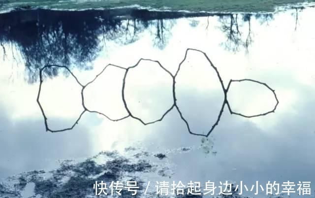 艺术家|他用最简单的树叶、石头、羽毛,建了一座美到极致的自然美术馆