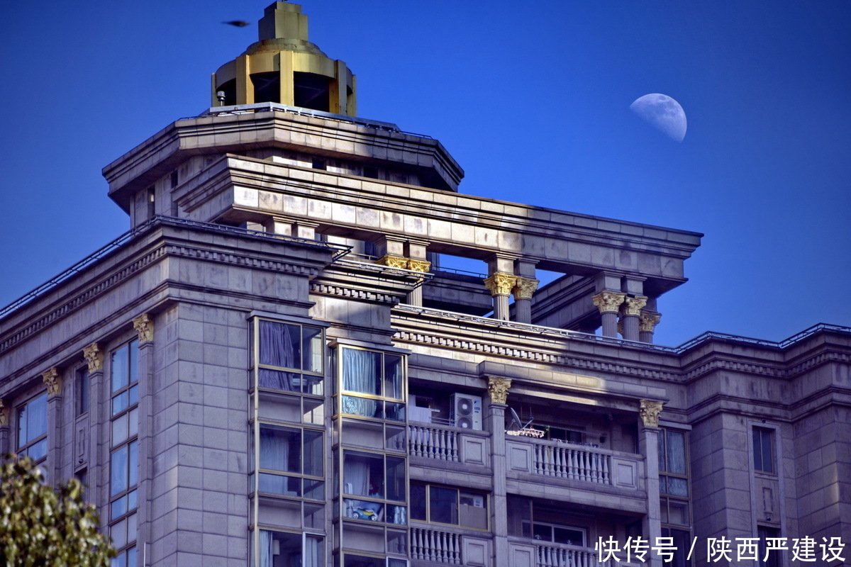 老年|新虹口花园的玉兰花开了【严建设】