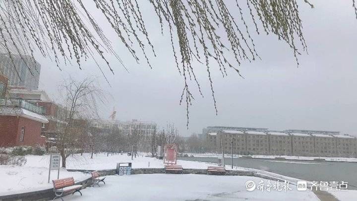 老年|雪后东营 唯美素颜