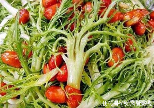 女人春季养生,多吃“降火菜”,清热去火,每天吃一点,嗓子不痛