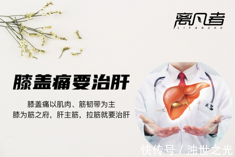 疼痛|膝盖不好要治肝