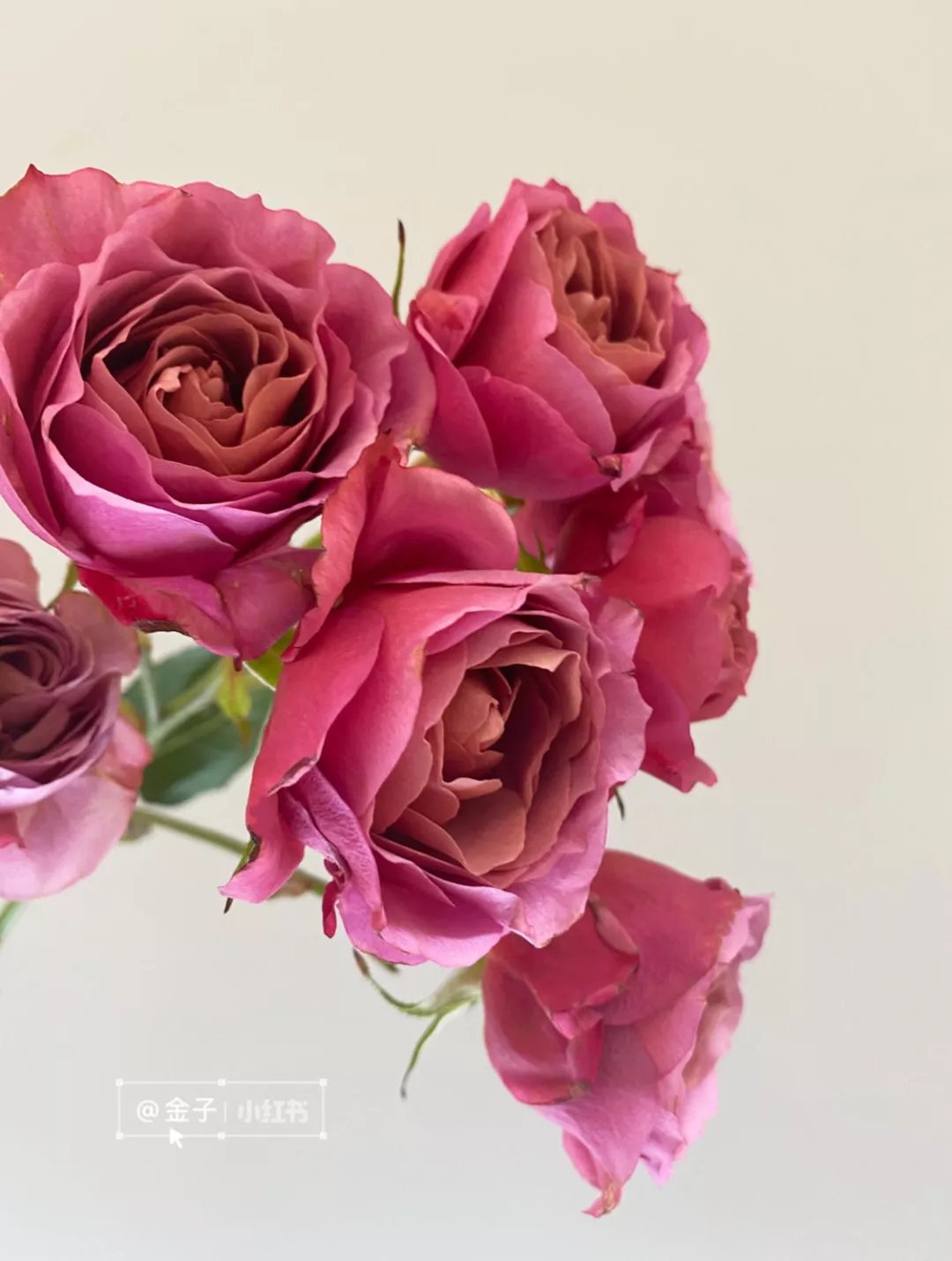 银河|诗词丨七夕:衣带渐宽终不悔,为伊消得人憔悴