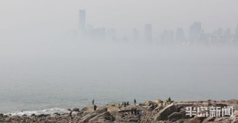 老年|雾入仙境!青岛现平流雾美景