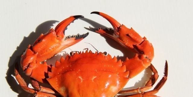 发育不良|怀孕后,这4样水果再贵都要吃,对胎儿眼睛好,比吃保健品管用